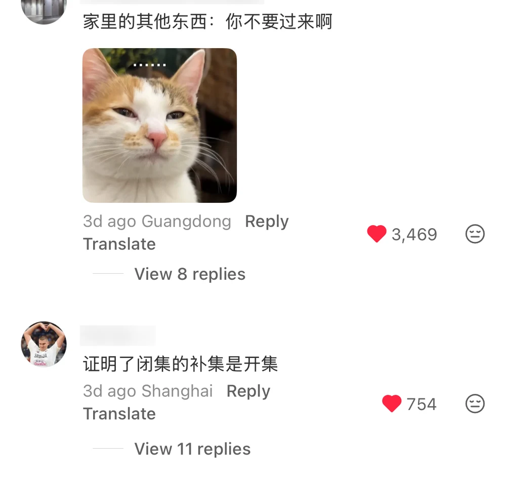 A comment written from the point of view of everything else in the house, saying please don't come over, with a wary cat meme