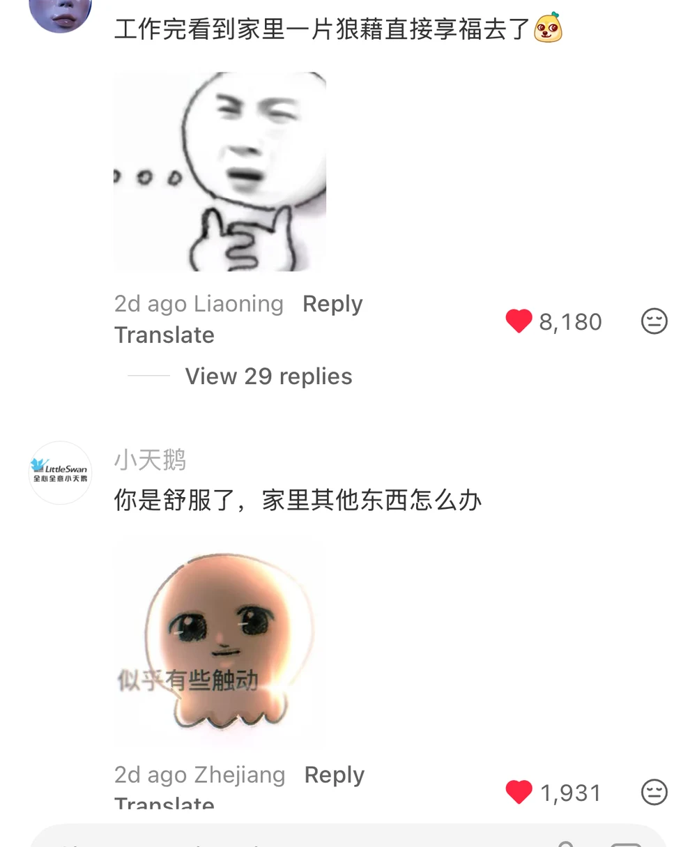 A comment about coming home from work to a wrecked house and going straight to chill mode, and a reply from the LittleSwan brand account asking what happens to everything else in the house