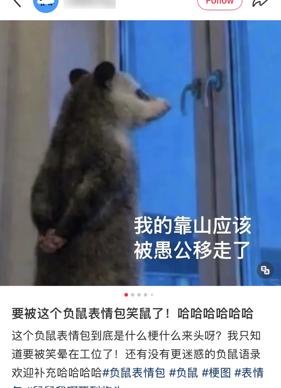 A Xiaohongshu post showing the opossum standing at a window with its paws behind its back, captioned 我的靠山应该被愚公移走了, above post text asking what the meme even is; username blurred, 97.9K likes — 负鼠 (fu shu)