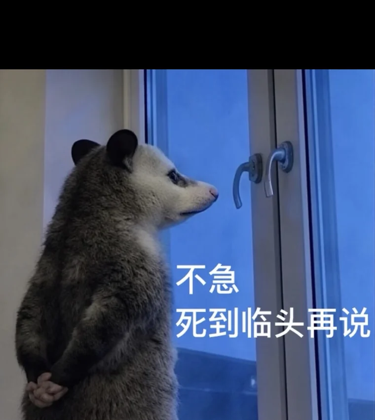 The opossum at the window, paws folded behind its back, captioned 不急 死到临头再说 — 负鼠 (fu shu)
