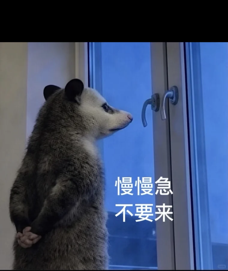 The opossum at the window, paws folded behind its back, captioned 慢慢急 不要来 — 负鼠 (fu shu)
