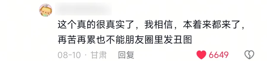 A Douyin reply saying that on the principle of 来都来了, however hard the trip gets, no ugly pictures are allowed in Moments, 6,649 likes, Gansu, 10 August; username blurred — 来都来了 (lai dou lai le)