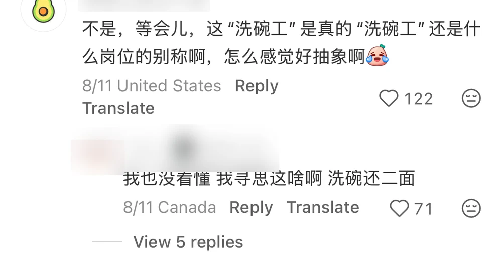 A comment asking whether dishwasher is an actual dishwasher or code for something else, with a reply saying dishwashing has a second round?