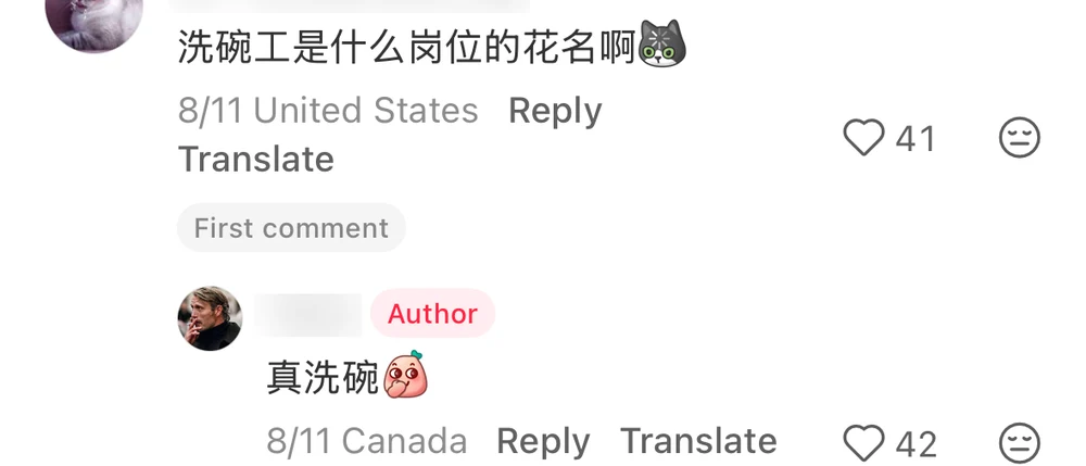 A comment asking what position dishwasher is the code name for, and the poster replying: literally washing dishes