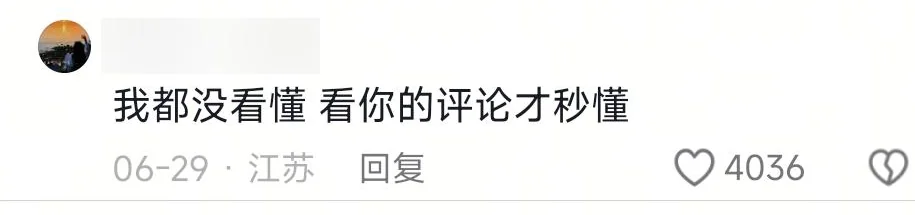 A blurred-ID reply saying the commenter only understood the meme after reading the explanation