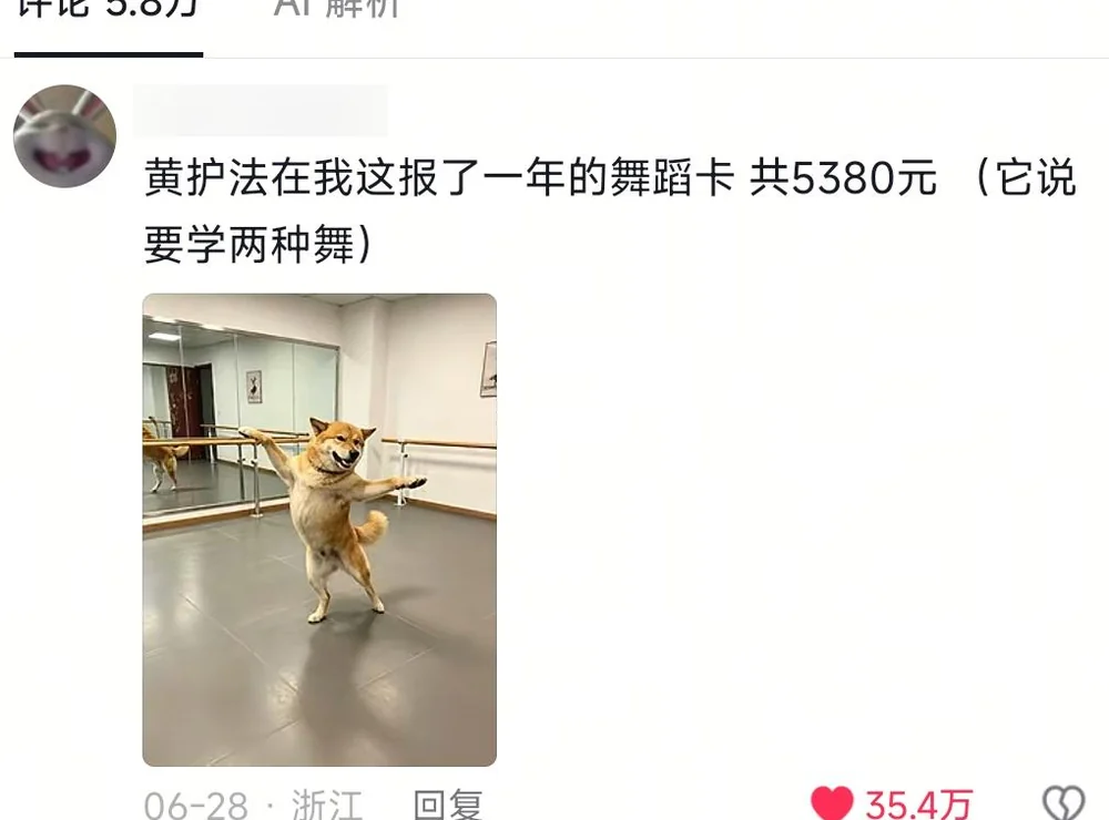 A blurred-ID comment with Huang Hufa dancing, billing 5,380 yuan for a one-year dance membership in two styles