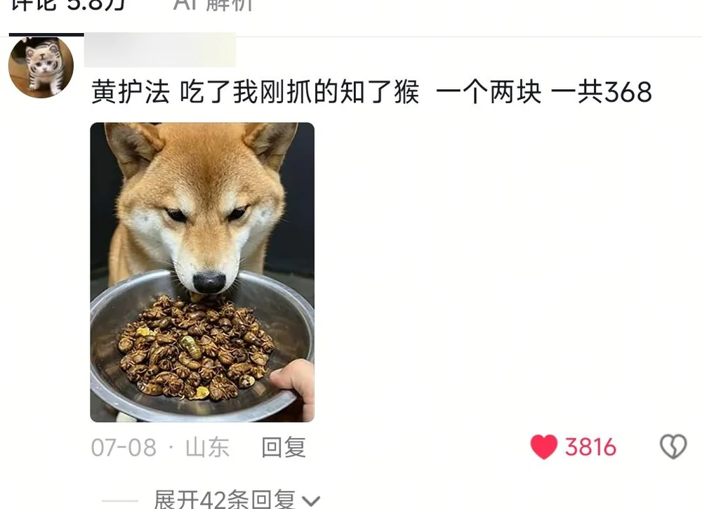 A blurred-ID comment with Huang Hufa eating cicadas, billed at two yuan each and 368 yuan total
