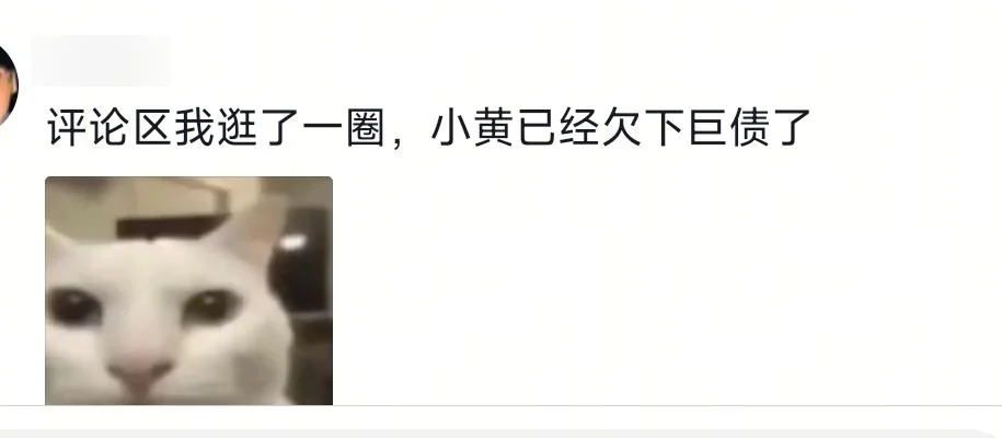 A partially captured blurred-ID comment saying little Huang is already buried in enormous debt