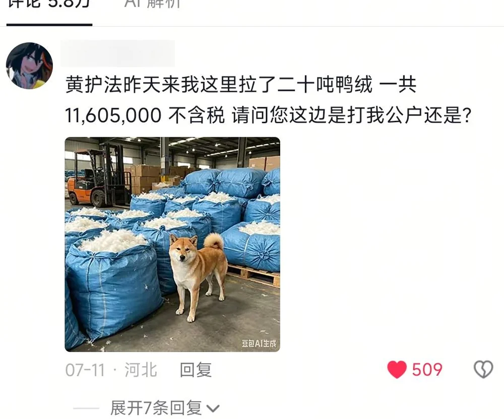 A blurred-ID comment showing twenty tonnes of duck down with Huang Hufa, invoiced at 11,605,000 yuan before tax