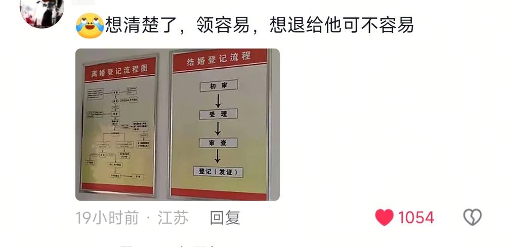 A comment with a photo of two wall charts in the registration office: the marriage procedure in four clean boxes, the divorce procedure a dense flowchart