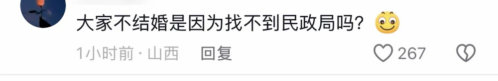 A comment asking whether the reason nobody marries is that they could not find the civil affairs bureau