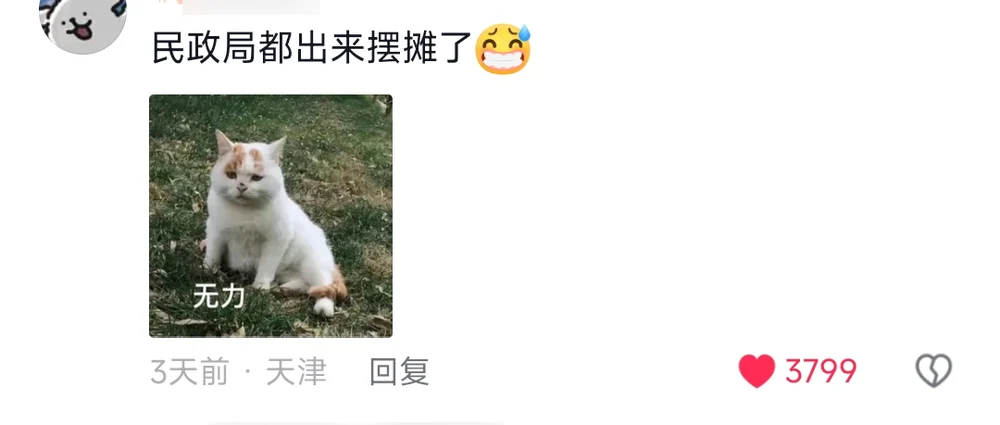 A comment saying even the civil affairs bureau is running a street stall now, with a photo of a defeated-looking cat captioned no strength left
