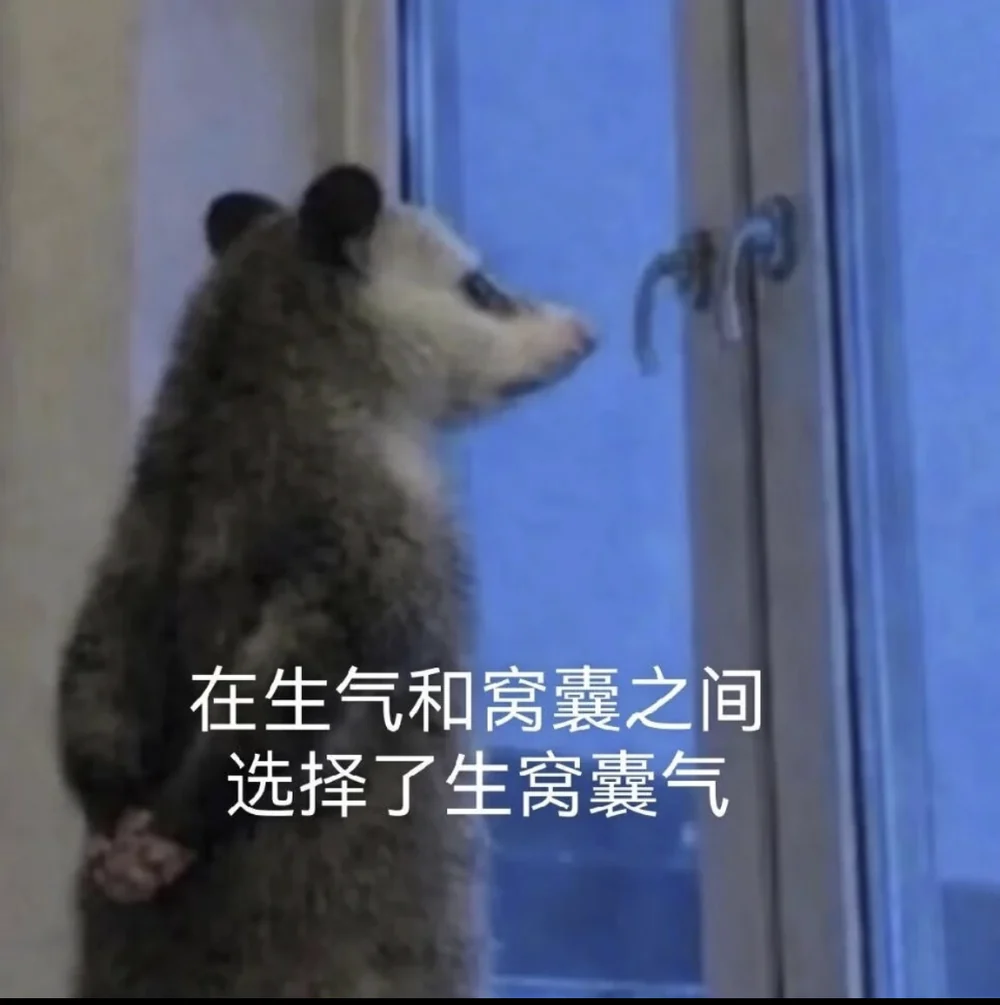 The opossum captioned in Chinese: between getting angry and being spineless, I chose impotent anger