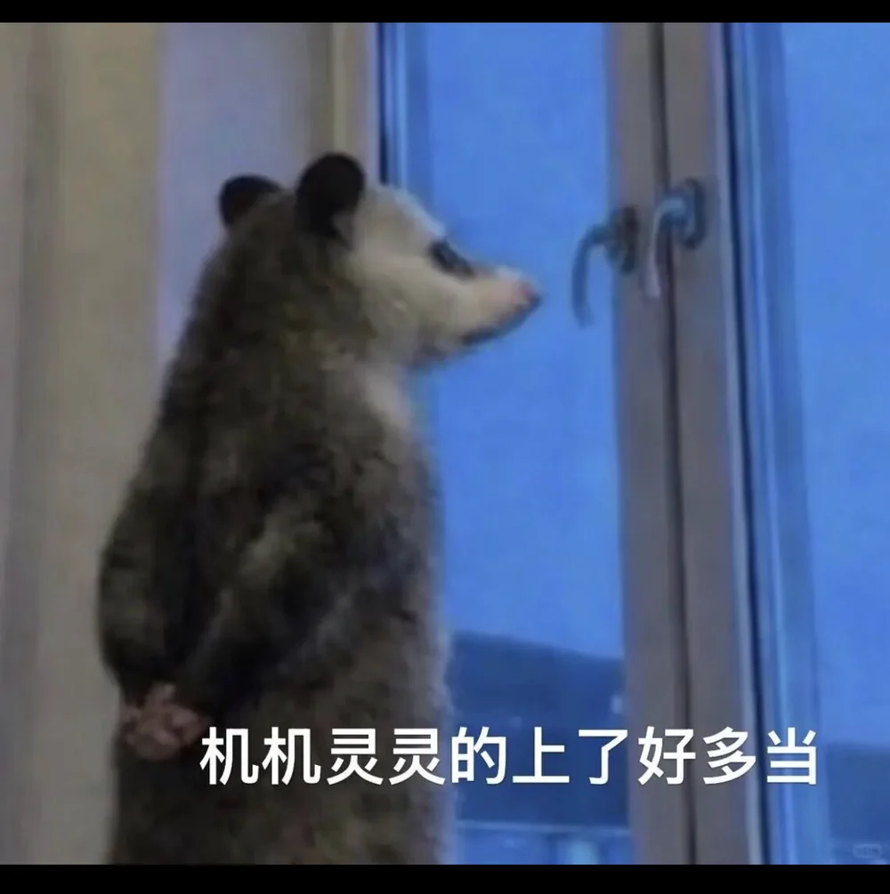 The opossum captioned in Chinese: bright and clever, and fooled so many times