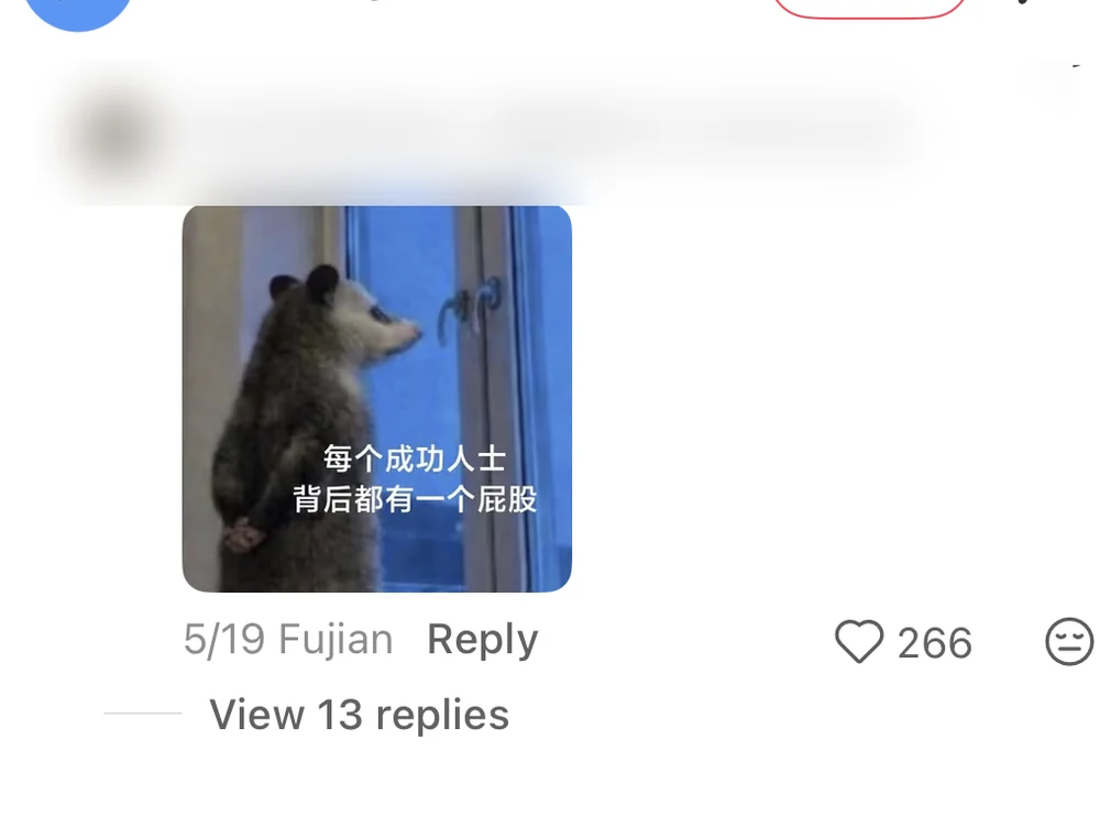 A blurred-ID comment with a reader-made opossum image captioned every successful person has an ass behind them, with 266 likes visible