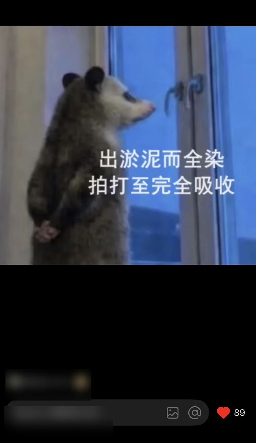 A blurred-ID reader-made opossum meme captioned emerged from the mud fully stained, pat until completely absorbed, with 89 likes visible