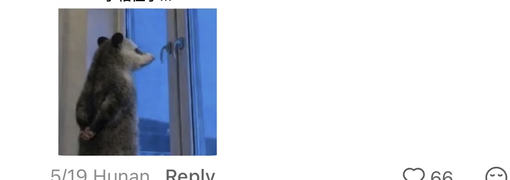 A blurred-ID comment with an opossum image captioned my hand is stuck, with 66 likes visible