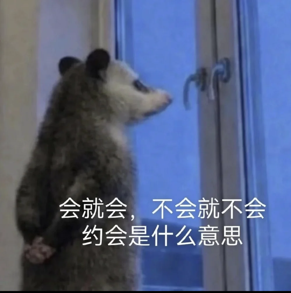 The opossum captioned in Chinese: if you can, you can, and if you cannot, you cannot, so what does dating mean