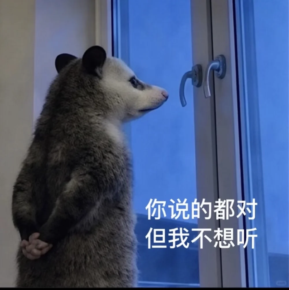 The opossum captioned in Chinese: everything you said is right, but I do not want to hear it