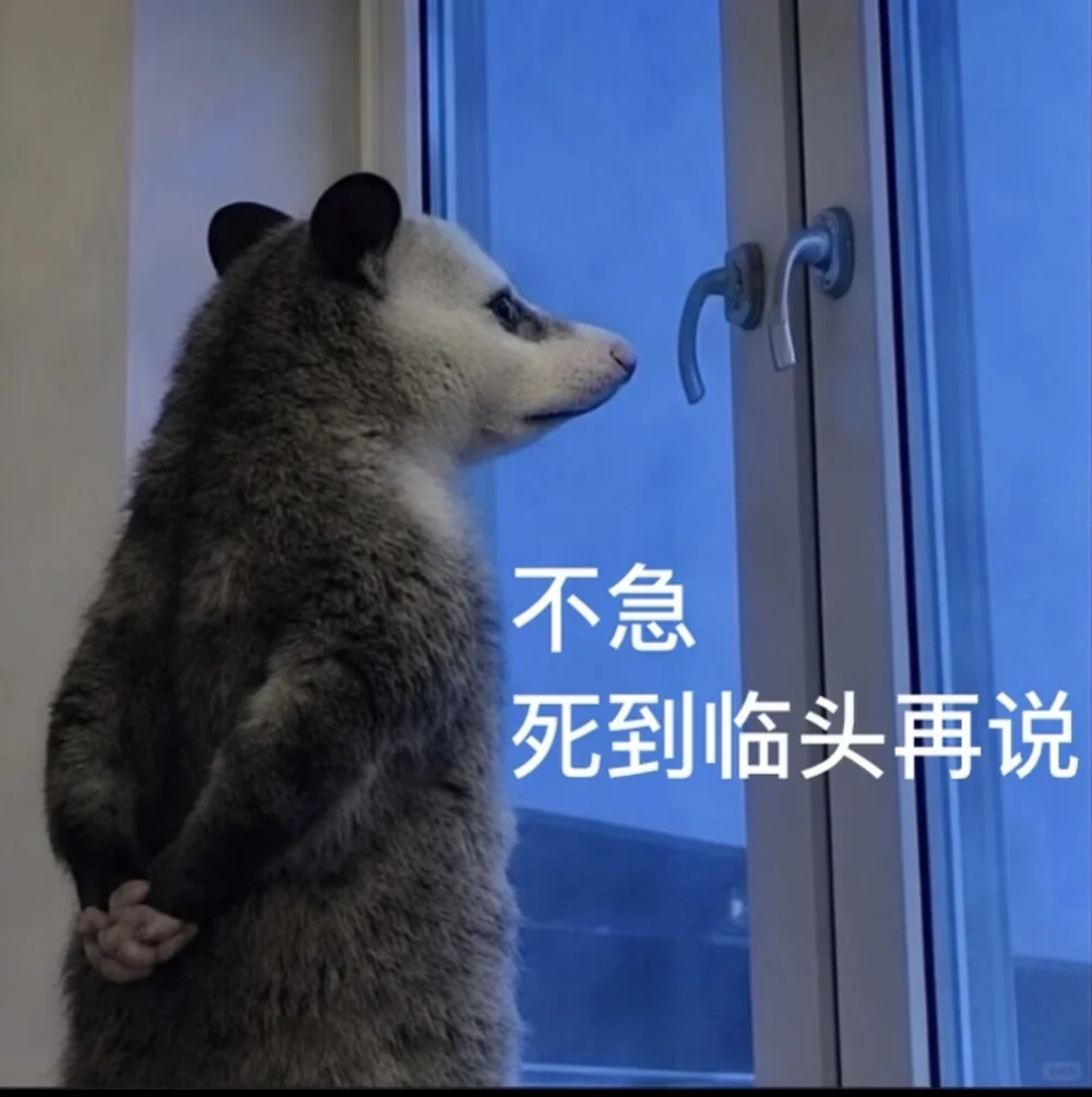 The opossum captioned in Chinese: no rush, we will discuss it once death is at the door