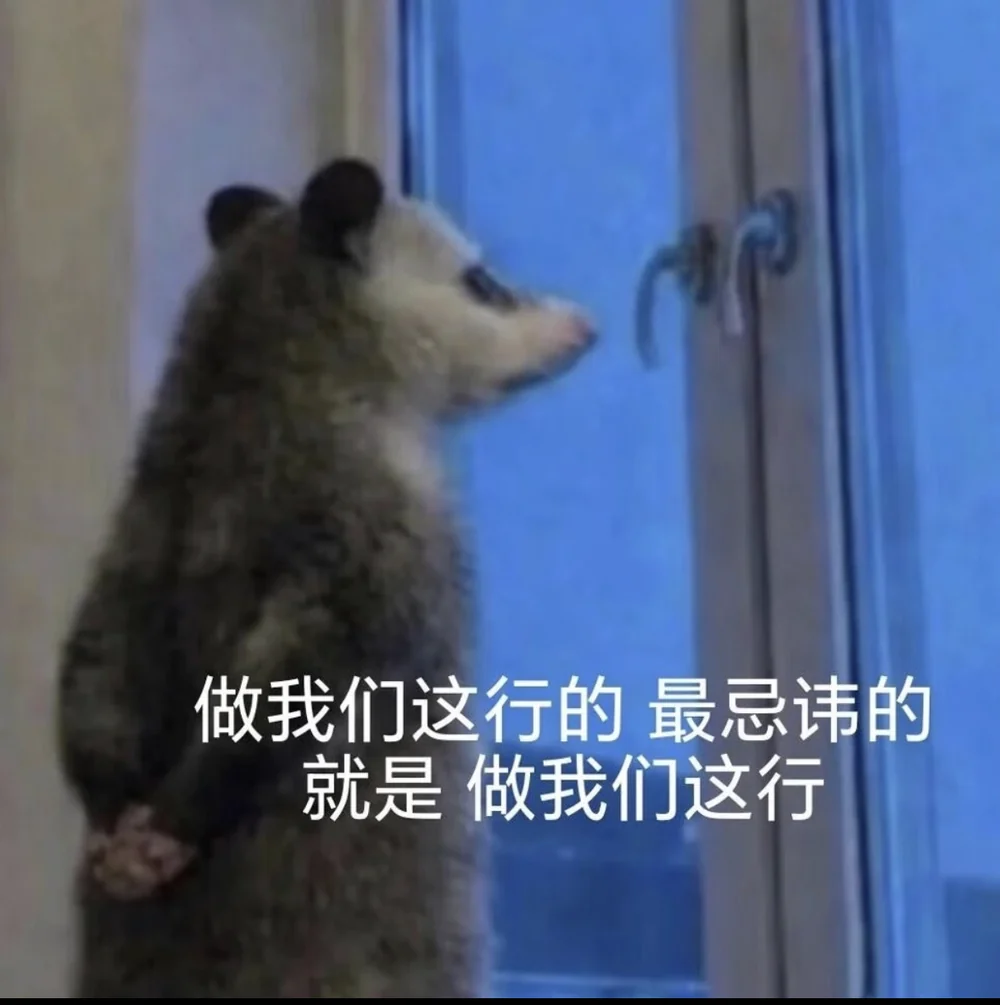 The opossum at the window captioned in Chinese: the number one taboo in our line of work is being in our line of work
