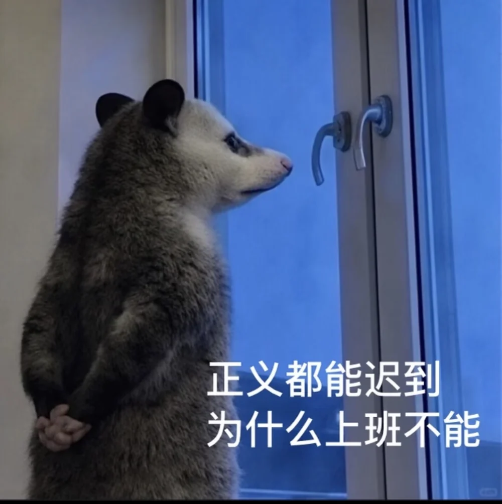 The opossum captioned in Chinese: justice can arrive late, so why can work not