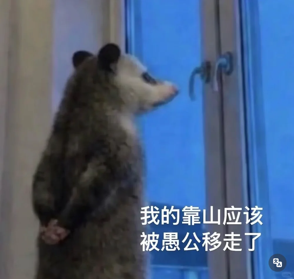 The opossum captioned in Chinese: the mountain I relied on must have been moved away by the Foolish Old Man