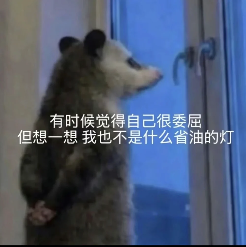 The opossum captioned in Chinese: sometimes I feel wronged, but I am not exactly an oil-saving lamp either