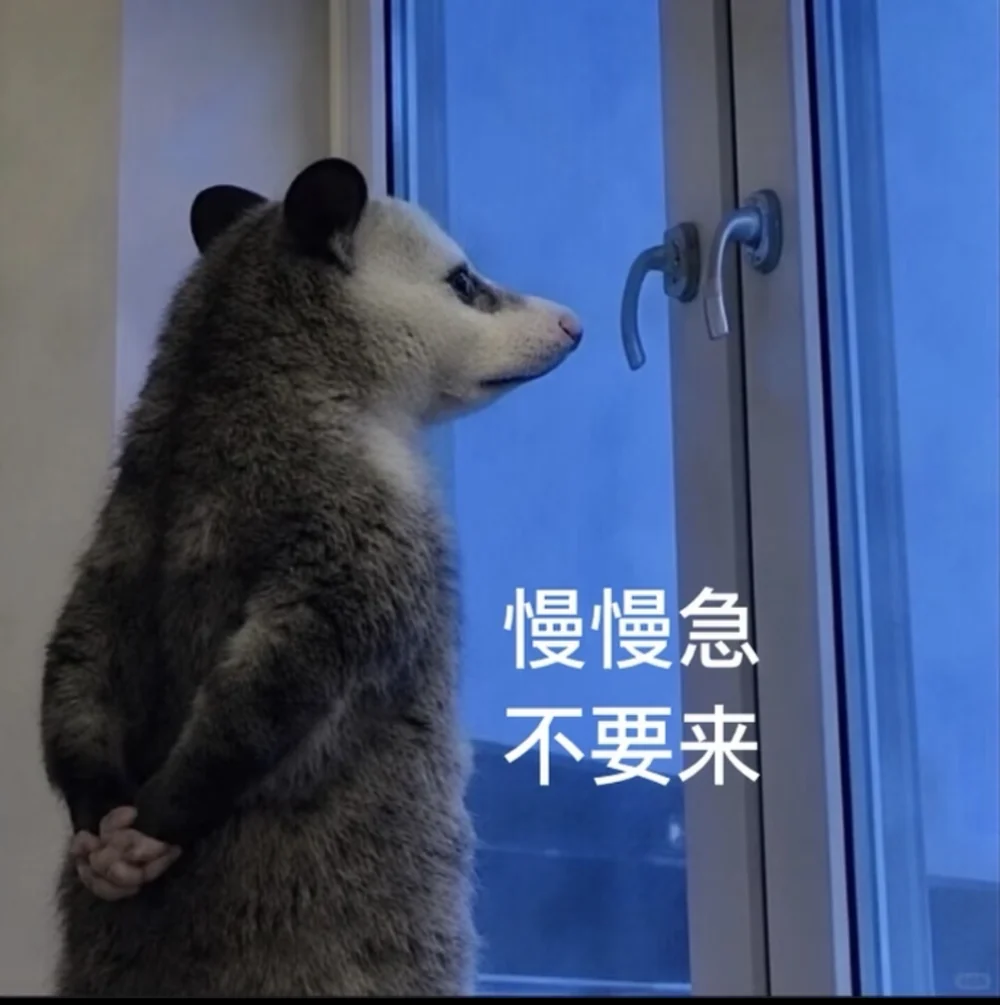 The opossum captioned in Chinese: panic slowly, do not come