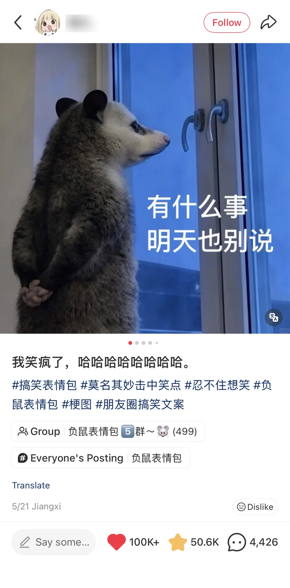 A second Xiaohongshu post showing the same opossum captioned whatever it is do not tell me tomorrow either, with the account ID blurred and post data visible