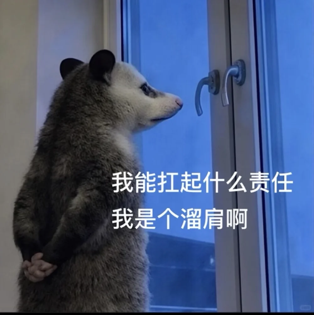 The opossum's sloping shoulders captioned in Chinese: what responsibility could I carry, I have sloping shoulders