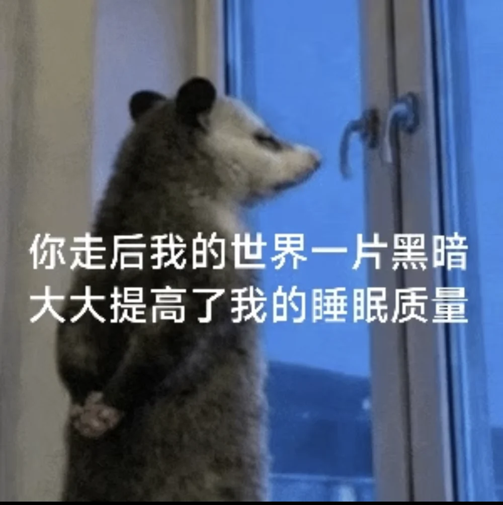 The opossum captioned in Chinese: after you left my world went dark, greatly improving my sleep quality