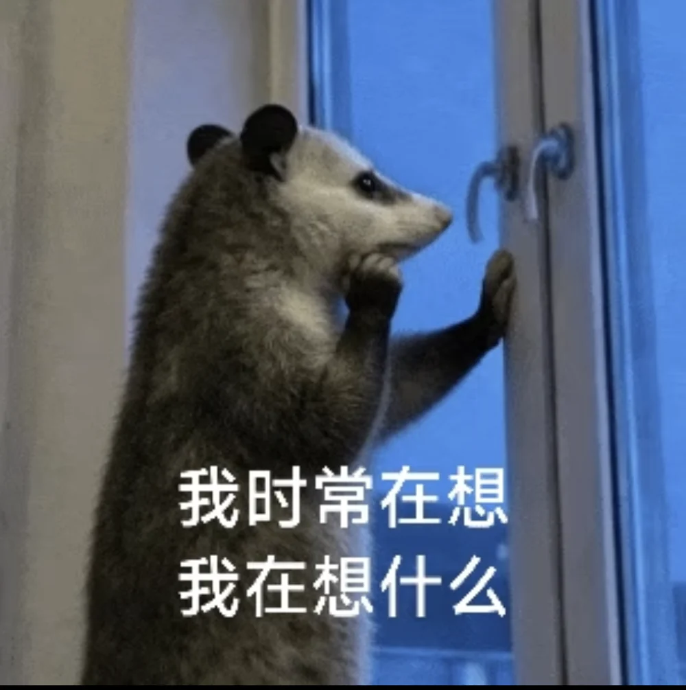 The opossum captioned in Chinese: I often wonder what I am wondering about