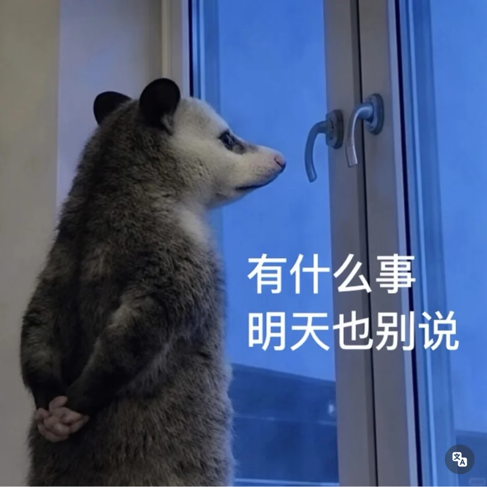 The opossum captioned in Chinese: whatever it is, do not tell me tomorrow either