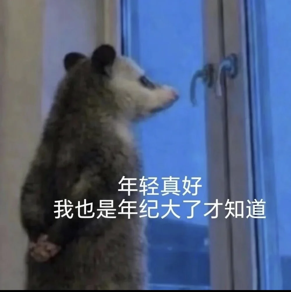 The opossum captioned in Chinese: being young is great, I only learned that after getting old