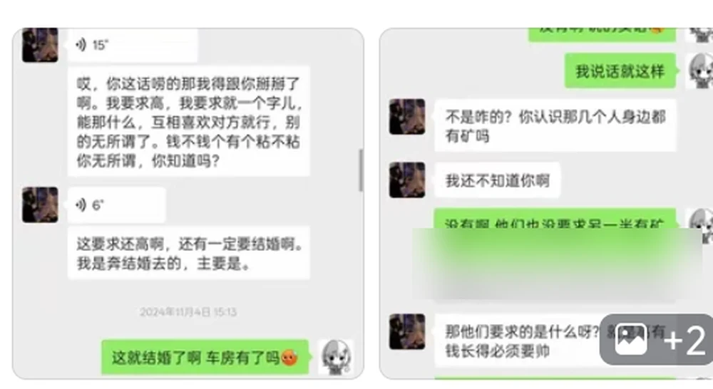 The second and third chats, enlarged: a voice message insisting his only requirement is mutual liking, marriage mandatory; her asking if the car and flat are ready; his rebuttal about whether her friends' partners all come from money