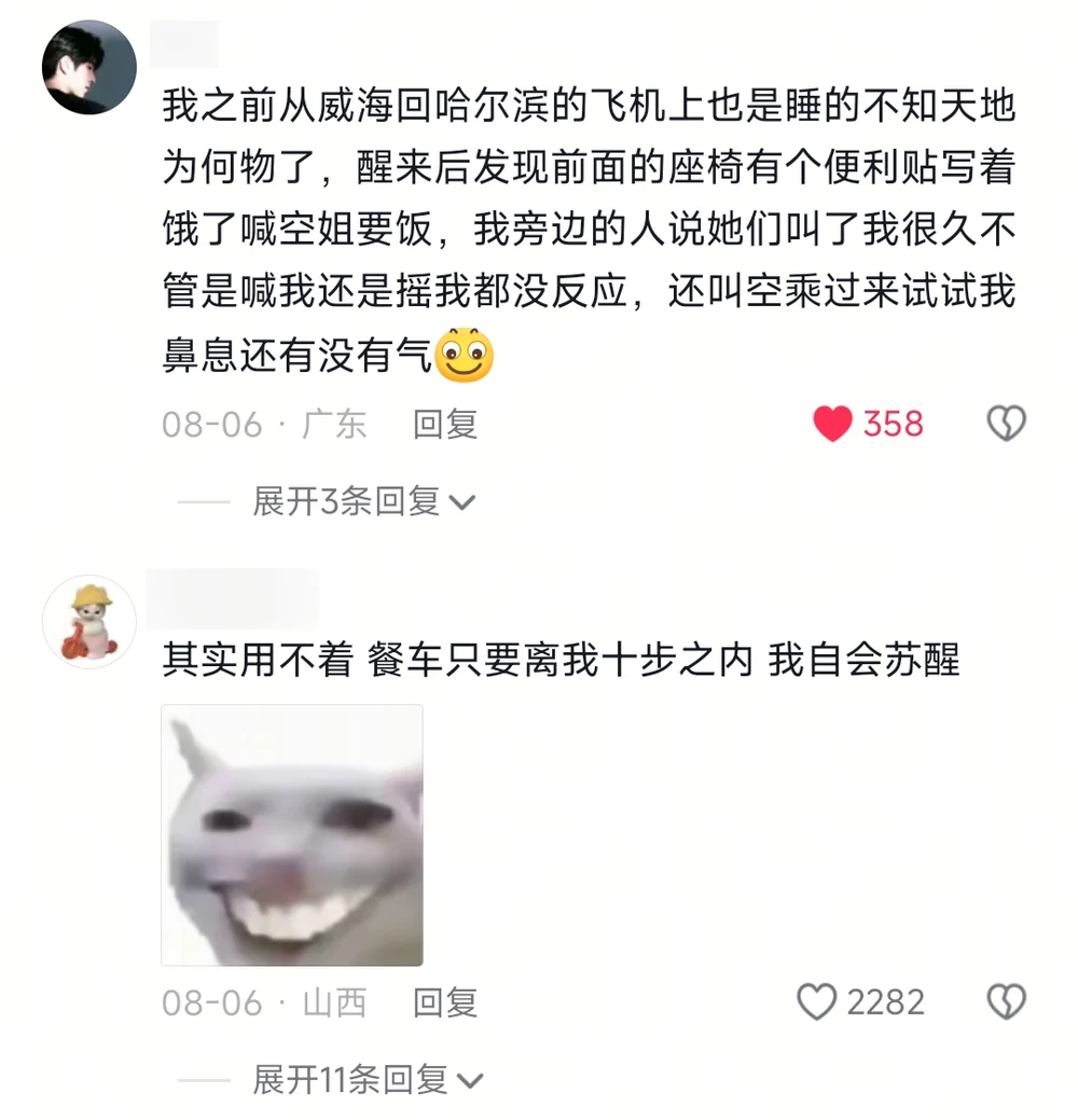 A long comment about sleeping so deeply on a Weihai to Harbin flight that the crew checked whether the passenger was still breathing, and a comment with a grinning cat meme saying the cart only needs to come within ten paces