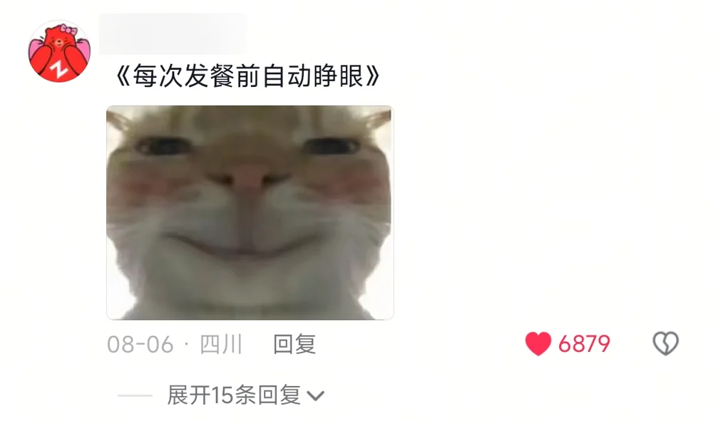 A comment titled Eyes Open Before Every Meal Service, with a photo of an orange cat smiling with its eyes closed
