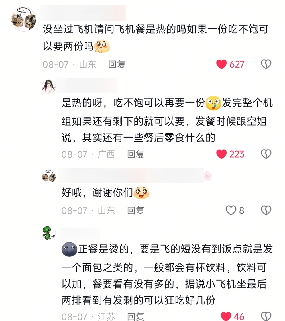 A comment from someone who has never flown asking whether the meal is hot and whether you can ask for two, followed by three patient replies explaining how meal service works