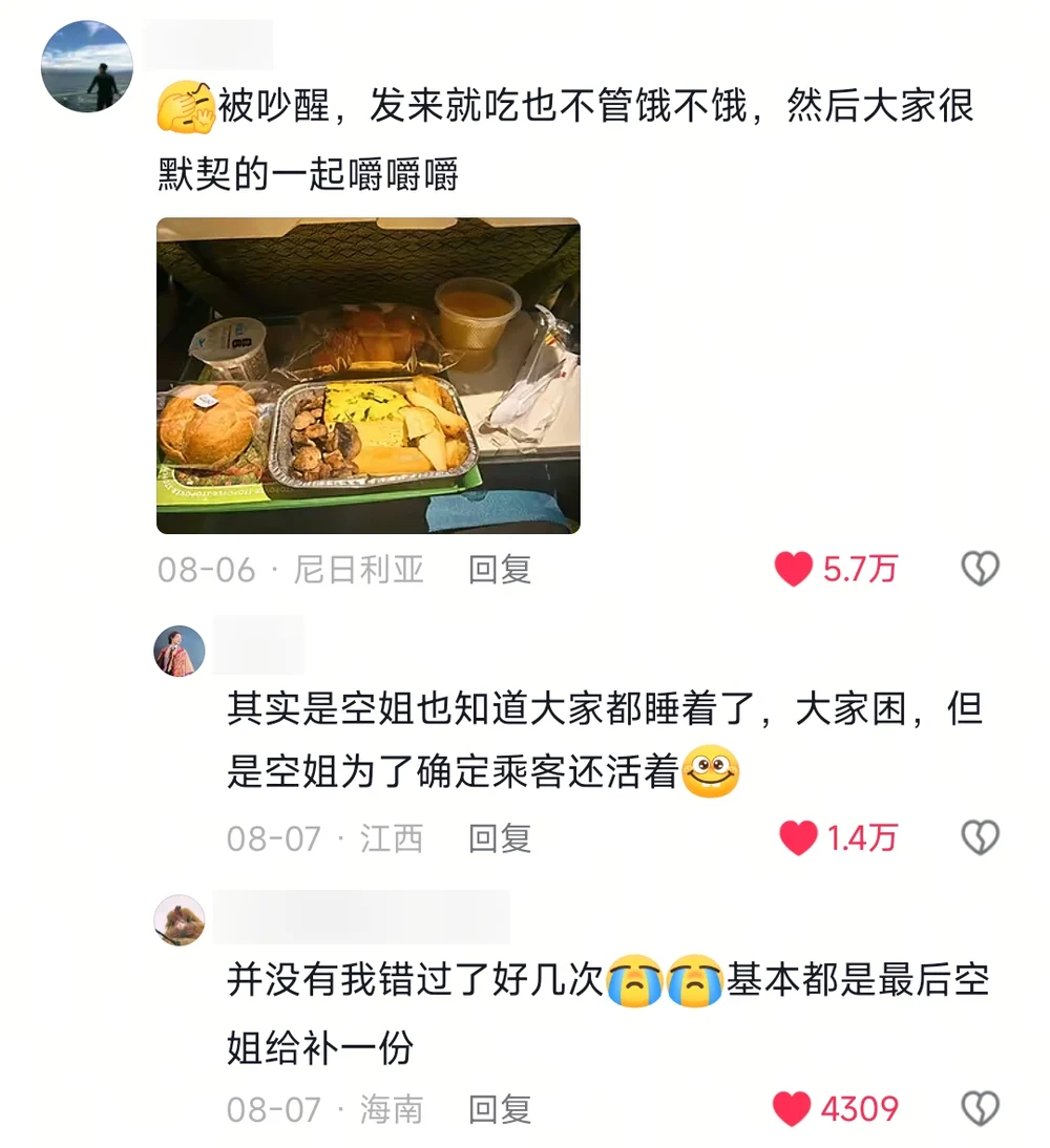 A comment with a photo of a full airline meal tray saying everyone gets woken up, eats whether hungry or not, and chews in perfect sync; a reply saying the crew just needs to confirm passengers are alive; another saying they have missed it several times and the attendant brings one at the end