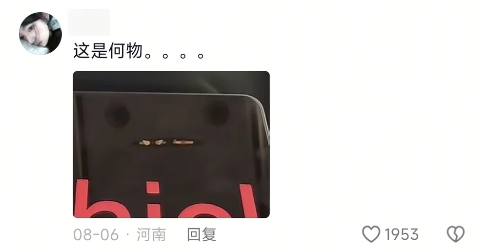 A comment saying what manner of thing is this, with a crop of the tablet showing the letters hick