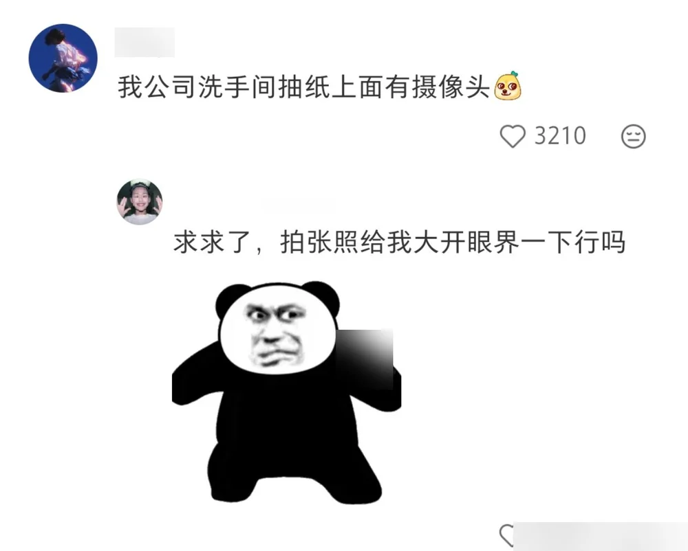 A comment reporting a camera installed above the bathroom paper-towel rack, with an angry panda meme attached