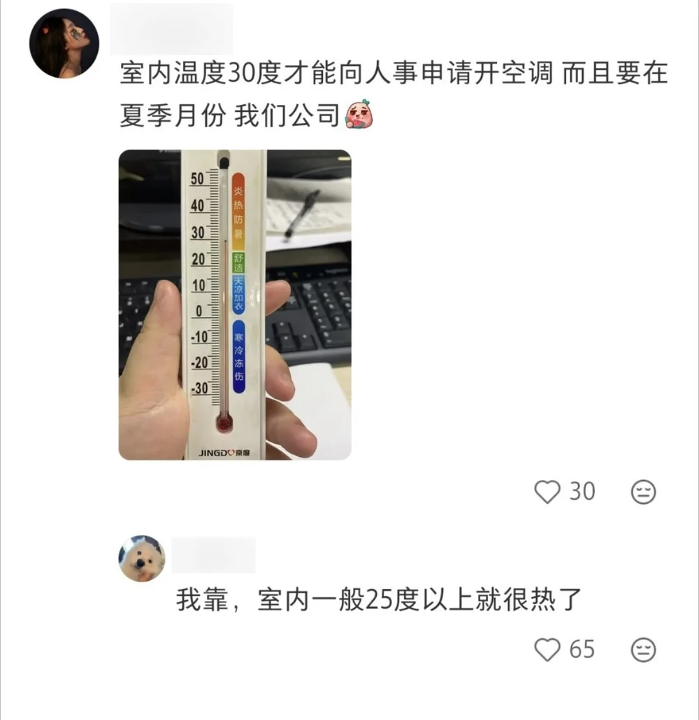 A comment describing a rule requiring 30°C indoors before staff may request AC, with a desk thermometer photographed as evidence, and a reply saying anything above 25 is already hot