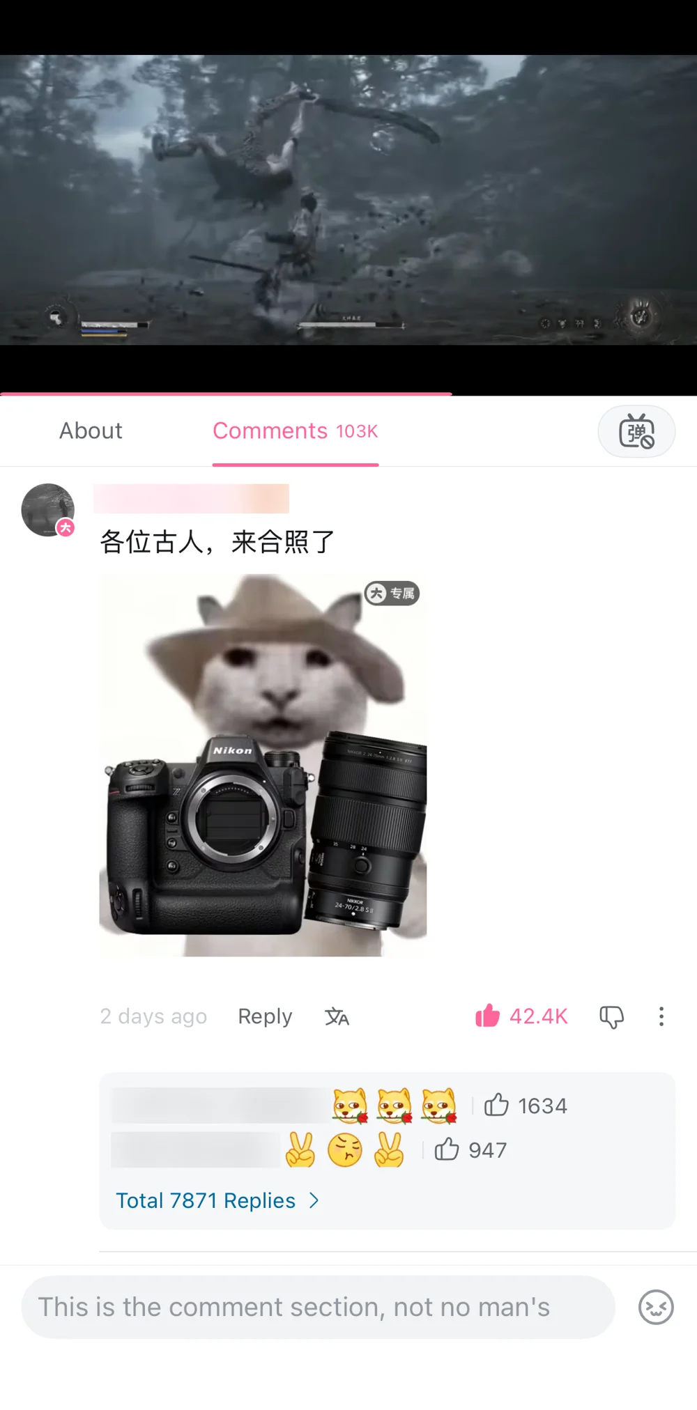 A comment saying ancient people should gather for a group photograph, illustrated with a cat holding a large camera, with username blurred