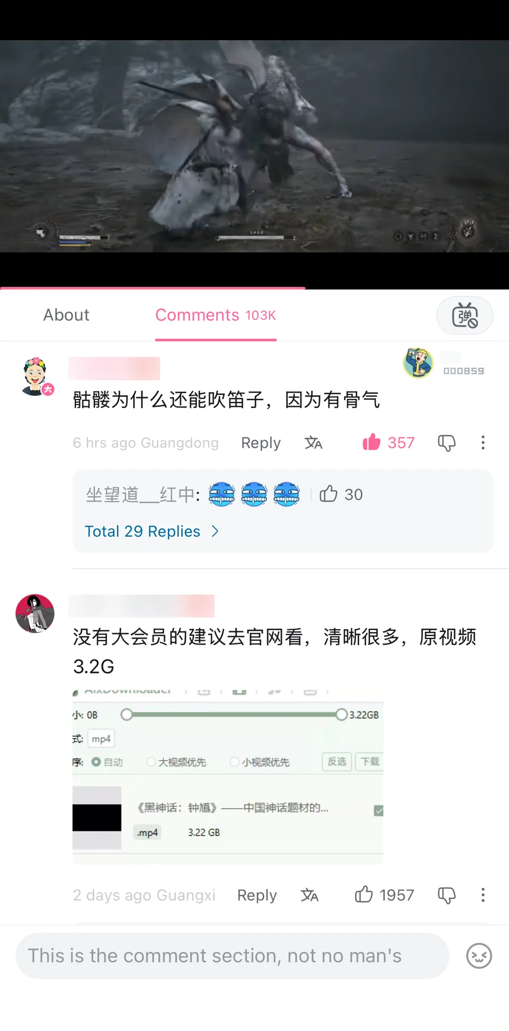 A comment asking how a skeleton can play a flute and answering that it has backbone, plus a comment recommending the 3.2GB official upload, with usernames blurred